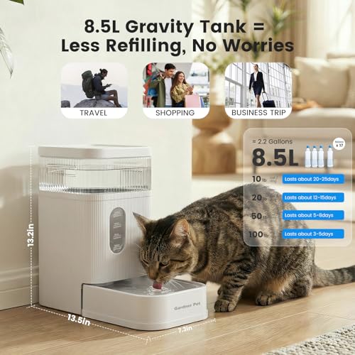 2.2 Gallon Automatic Dog Water Dispenser with Stainless Steel Bowl (White / 2.2 Gallon)