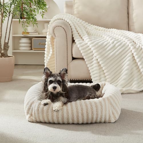 Dog Bed for Medium Sized Dogs (White / S Plus(25"Lx21"Wx7"Th))