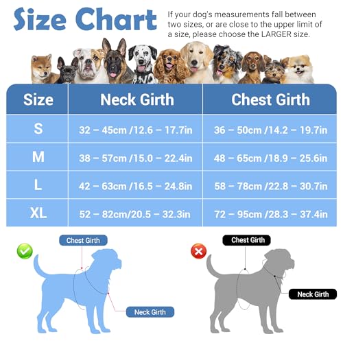 Dog Harness No Pull (Mosaic Blue / Large)