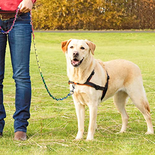 Metal Chain Dog Leash Chew Proof for Dogs (Colorful / 6FT 3.5mm (Medium & Large dogs))