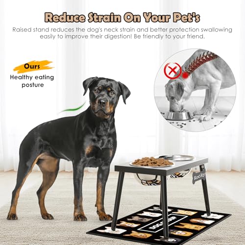Metal Raised Dog Bowl Stand for Large and Medium Dogs (Height-10inch / Black-L)