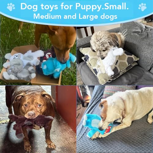 No Stuffing Dog Squeaky Toys Plush Chew Toys for Small Medium Large Dogs (5 Pack)