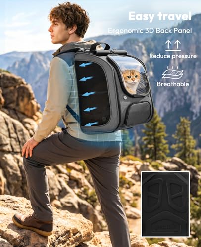 Cat Backpack Carrier (Gray / 12.6"L x 10.2"W x 16.5"H)