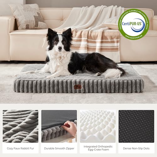 Orthopedic Large Dog Bed (Grey / XL(41x27x4"))