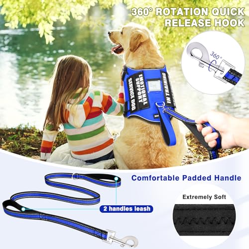 Service Dog Vest Harness and Leash Set+10 Patches (Small / Blue)