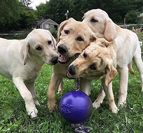 Romp-N-Roll Rope & Ball Dog Toy, 6 in Medium, Purple (Purple / Medium (6 in))