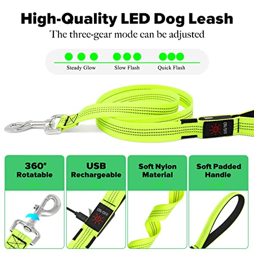 LED Dog Leash (GreenⅡ)