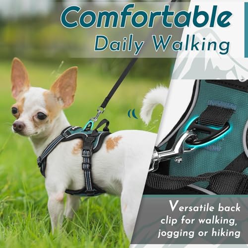 Dog Harness for Small Dogs (X-Small / Dark Green)