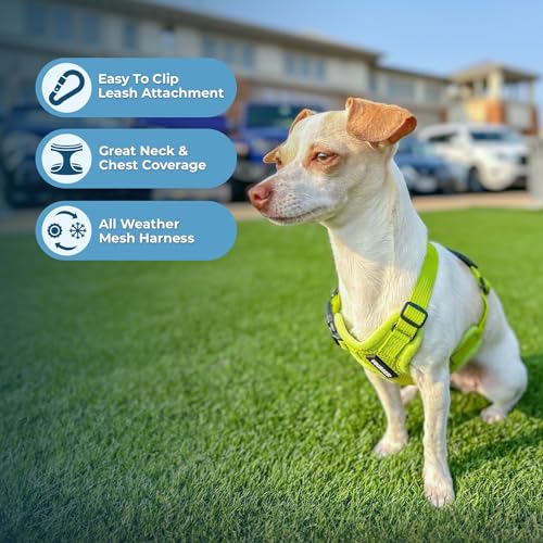 Voyager Step in Air All Weather Mesh Harness and Reflective Dog 5ft Leash Combo with Neoprene Handle (Lime Green / XL (Chest: 20.5 - 23"))