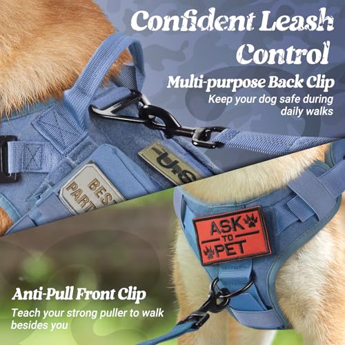 Tactical Dog Harness for Small (Blue / Small)