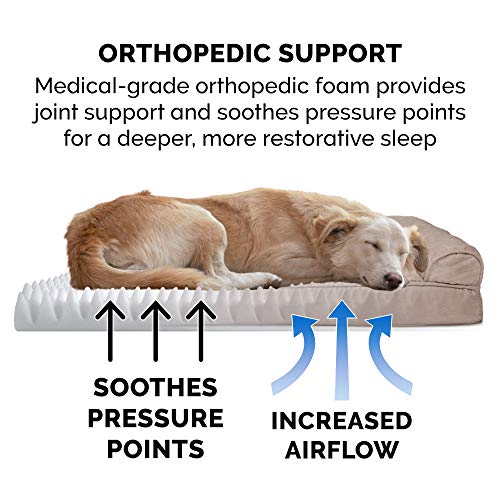 Orthopedic Dog Bed for Large Dogs w (Jumbo / Almondine)