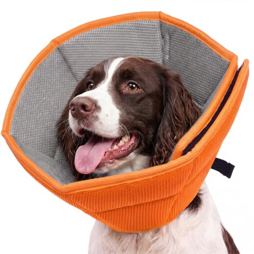 Adjustable Dog Cone for Spay (Orange / XL(Neck Girth:16.54"-21.65"))