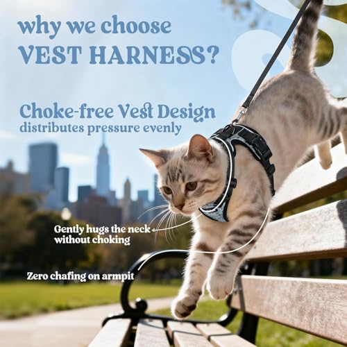 Cat Harness and Leash Set (S / Doodle Gray)