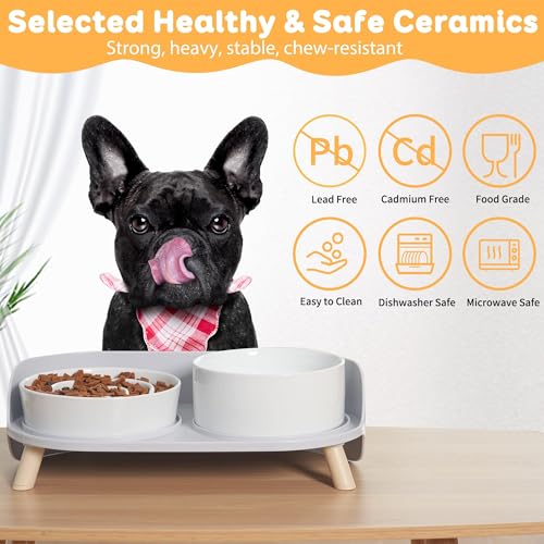 Elevated Slow Feeder Dog Bowls with Splash Proof Stand (Medium / White)