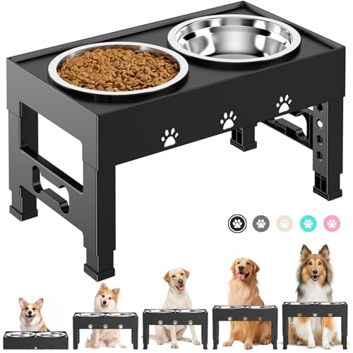 Elevated Dog Bowls with 2 Stainless Steel Bowls (For Medium Large Dogs / Black)