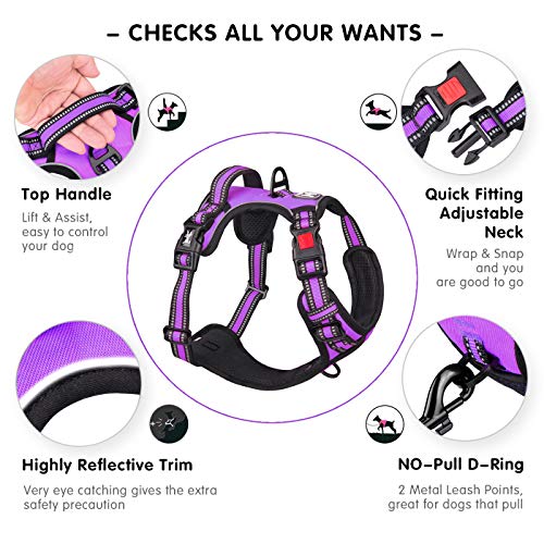 Dog Harness Large (XL / Purple)
