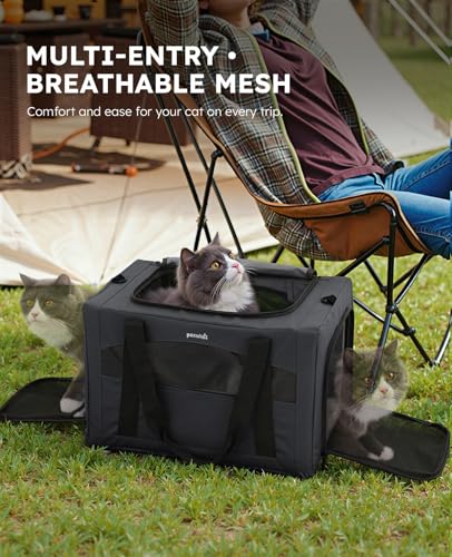 Cat Carrier Stable (Dark Gray Regular / 16.9"L x 11.0"W x 11.0"H)