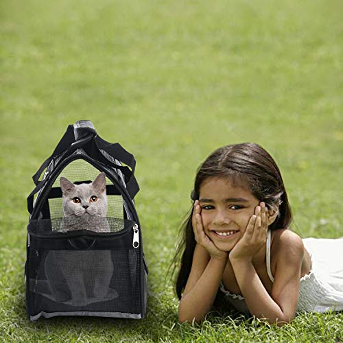 Pet Carrier Soft (Medium-Black)