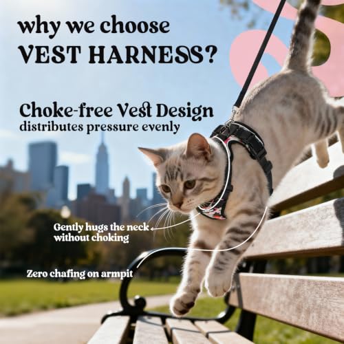 Cat Harness and Leash Set (Xxs / Berry Pounce)