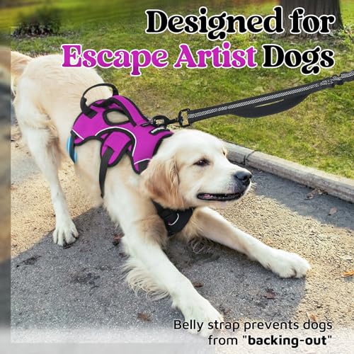 Escape Proof Dog Harness for Medium (Purple / Medium)