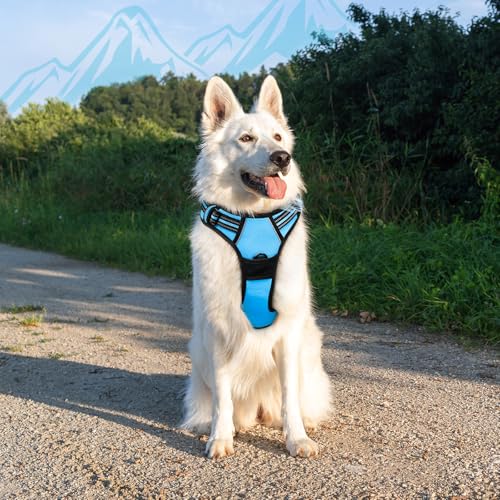 Dog Harness for Large Dogs (X-large / Sky Blue)