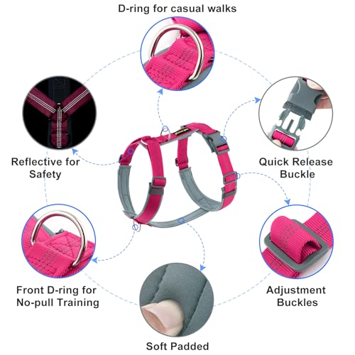 No Pull Dog Harness (XL / Hot Pink)