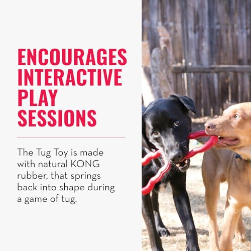 Tug Toy Natural Rubber Dog Toy for Tug of War