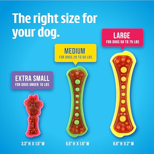 Chew 'n Clean Dental Duo Dog Treat & Chew Toy (Large (Pack of 3) / Orange, Green & Yellow)