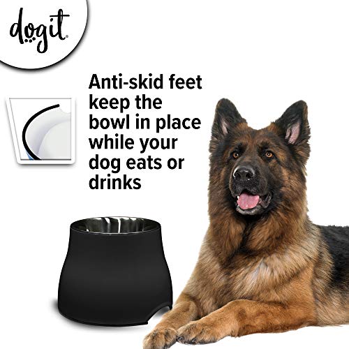 Elevated Dog Bowl (Large / Black)