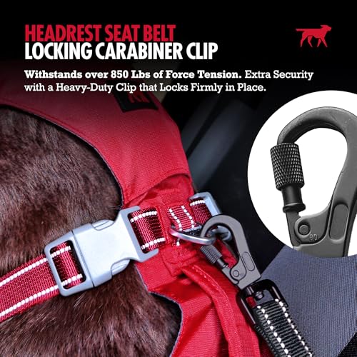 Dog Seat Belt for Car Headrest (Black)