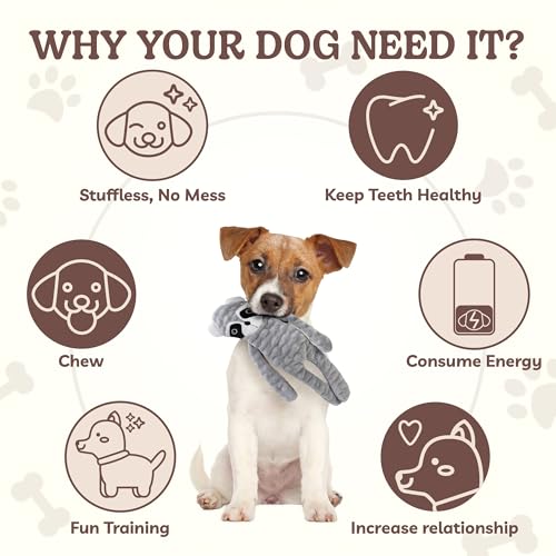 No Stuffing Dog Toys 5 Pack (For Small Breed / 3 Pack - Variety)