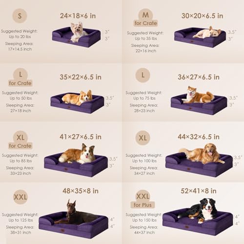 Orthopedic Dog Bed Medium Size Dog (Purple / 30.0"l X 20.0"w X 6.5"th)