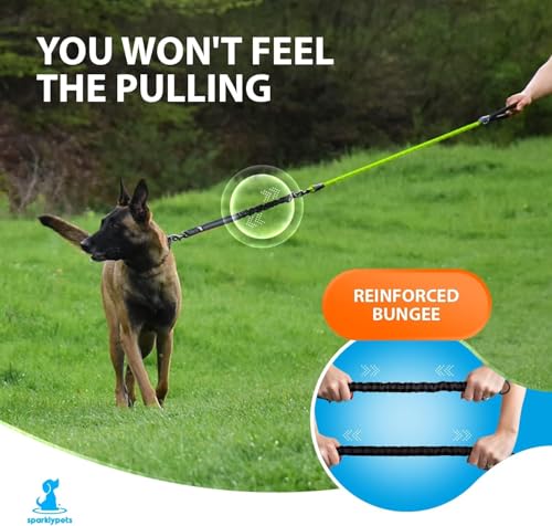 Heavy Duty Bungee Rope Leash (Green)