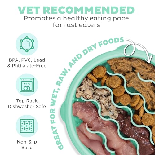 Fun Feeder Slo Bowl Dog Slow Feeder (Mint / Small)