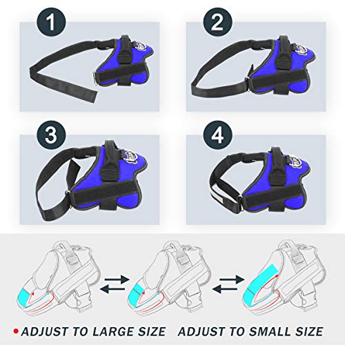 Dog Harness No (X-Small (Pack of 1) / Blue)