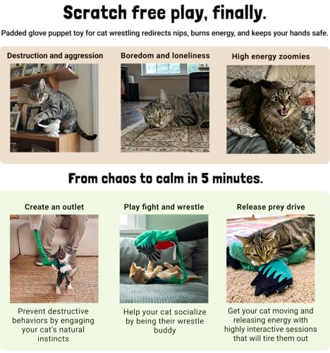 Pupr Pals Cat Wrestling Glove (Large / Quetzal + Catnip)