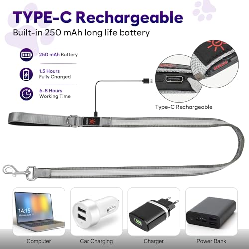 4 Ft Multi Color Light up Dog Leash (4 FT (Gray))
