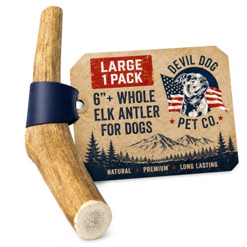 Whole Elk Antlers for Dogs (WHOLE - Large - 1 Pack)