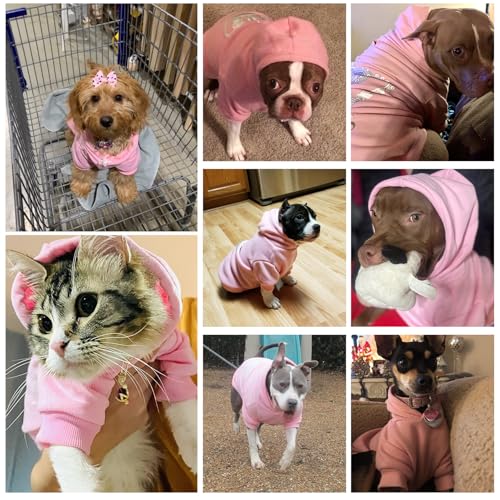 Princess Dog Hoodie (XL (Back: 24",Chest: 34", Neck: 23") / Pink(Prinecss))