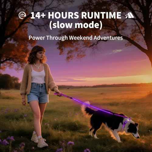 LED Dog Leash (Purple / 6 feet)