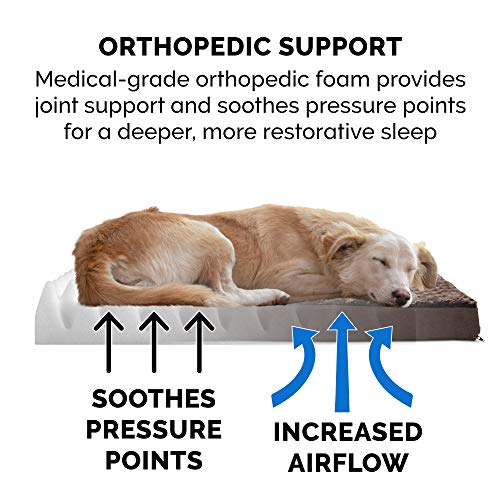 Orthopedic Dog Bed for Large (Large / Minky Chocolate)
