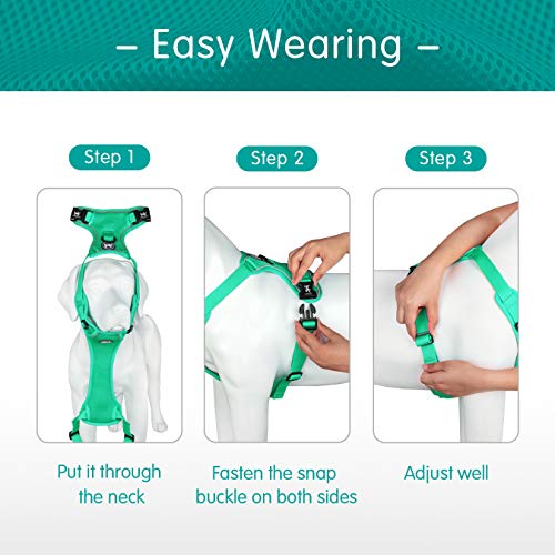 Mesh Dog Harness (M / Mint Green)