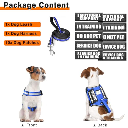 Service Dog Harness and Leash Set (X-Large / Blue)