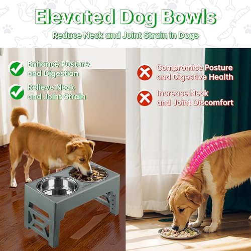 Elevated Dog Bowls (2 Stainless Steel Bowls / Gray)