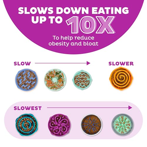 Fun Feeder Slo Bowl (Purple / Medium)
