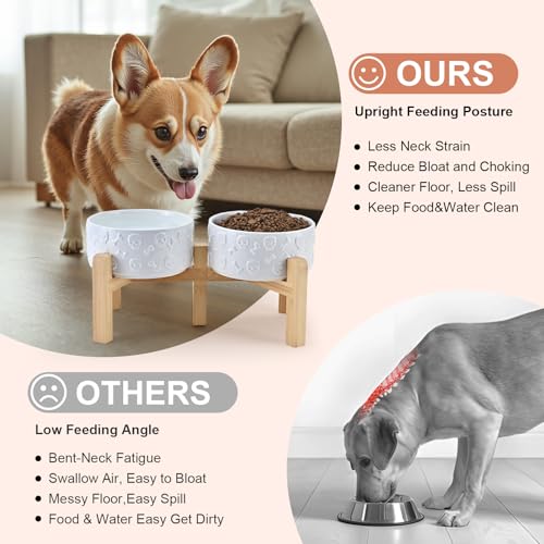 Elevated Dog Bowls Ceramic (6.1 in - 3.6 cups / White - Skull)
