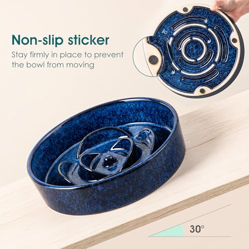 Slow Feeder Dog Bowl (L - 3 Cups / Blue)