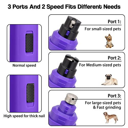 Dog Nail Grinder Upgraded (Purple)