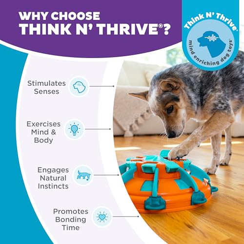 Nina Ottosson Tower of Treats Dog Toy Treat Puzzle (Tower of Treats (Orange, Blue) / 1 Count (Pack of 1))