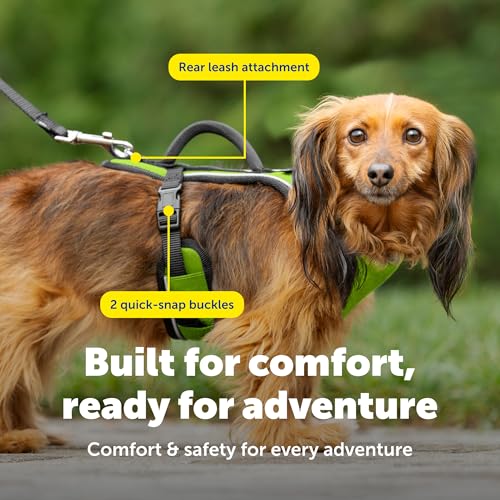 EasySport Harness (X-Small / Apple Green)